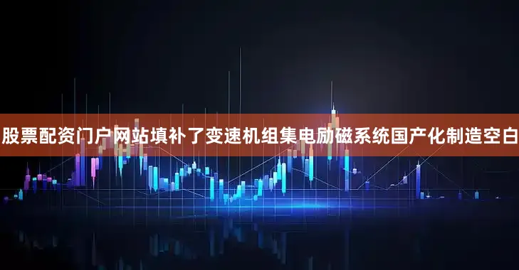股票配资门户网站填补了变速机组集电励磁系统国产化制造空白