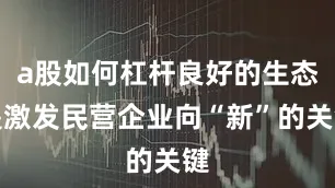 a股如何杠杆良好的生态是激发民营企业向“新”的关键