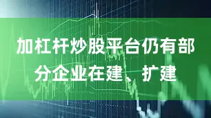 加杠杆炒股平台仍有部分企业在建、扩建